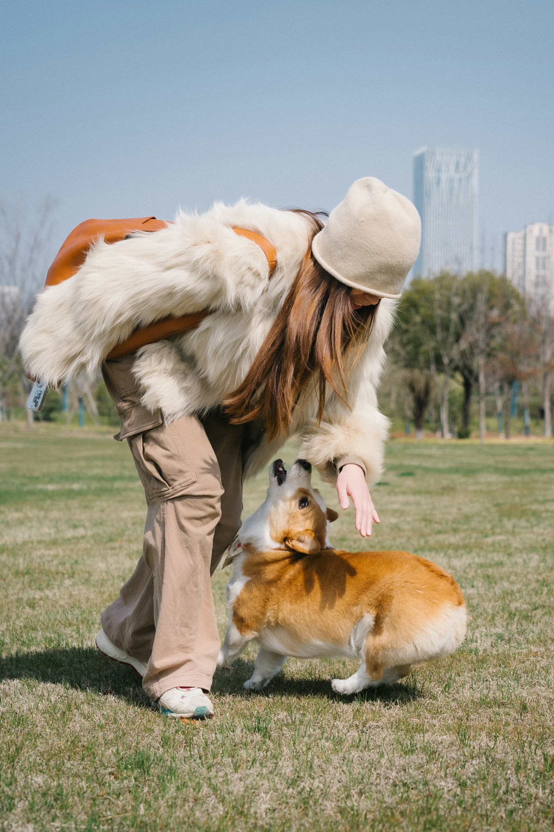 A corgi playing with a friend in the park